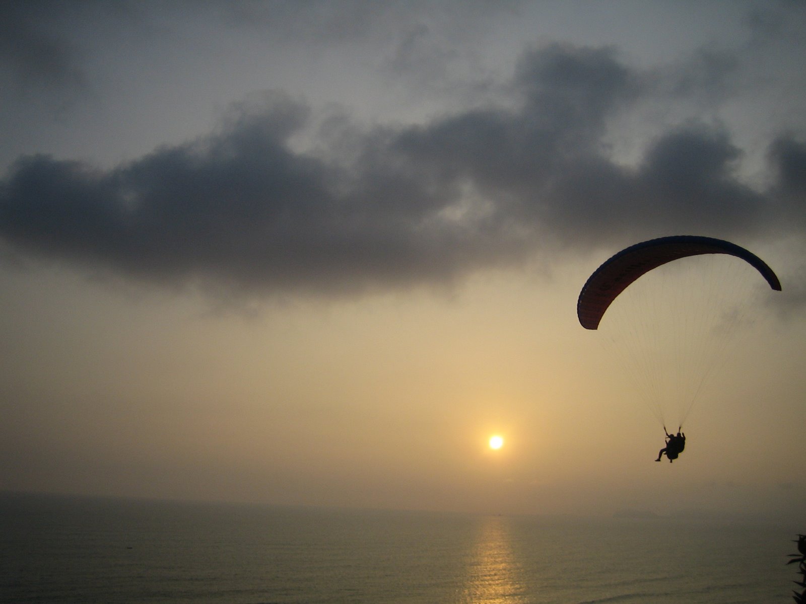 [IMG_6702[1]]